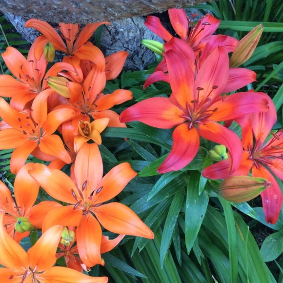 Meet your Posher, Reality - Picture 16 of 16